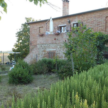 Agriturismo Santa Maria Torrita di Siena Dış mekan fotoğraf
