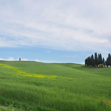 Agriturismo Santa Maria Torrita di Siena Dış mekan fotoğraf