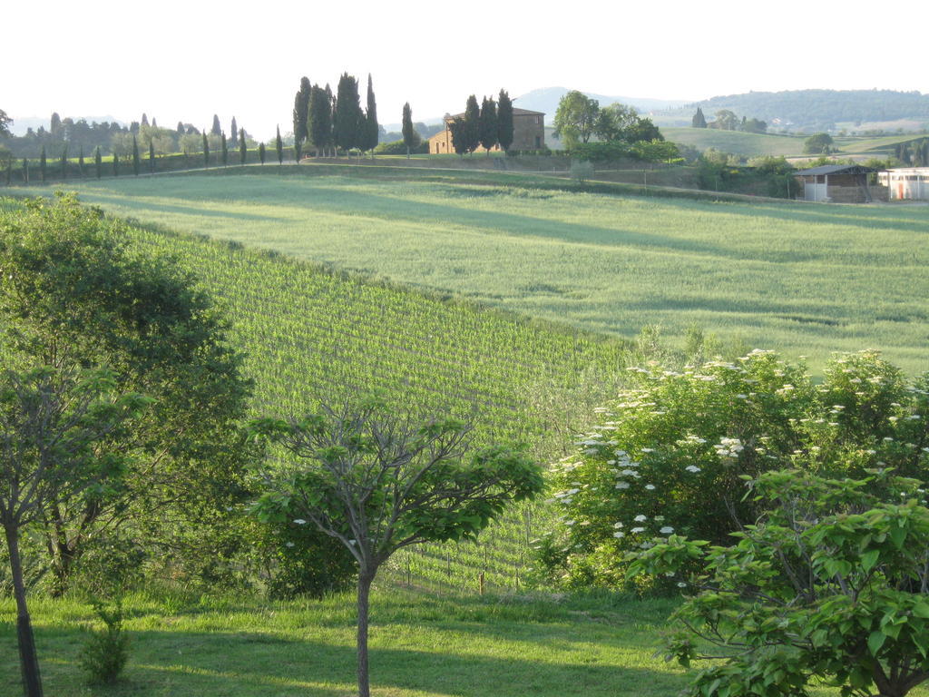 Agriturismo Santa Maria Torrita di Siena Dış mekan fotoğraf