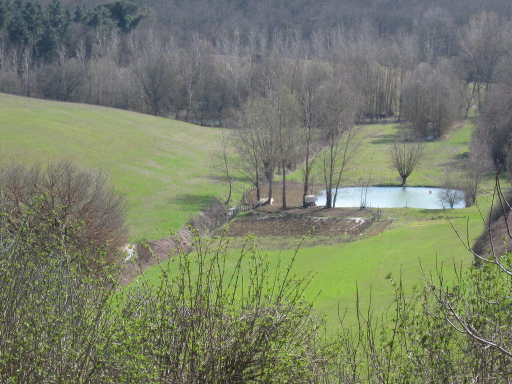 Agriturismo Santa Maria Torrita di Siena Dış mekan fotoğraf
