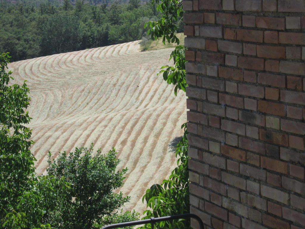 Agriturismo Santa Maria Torrita di Siena Dış mekan fotoğraf