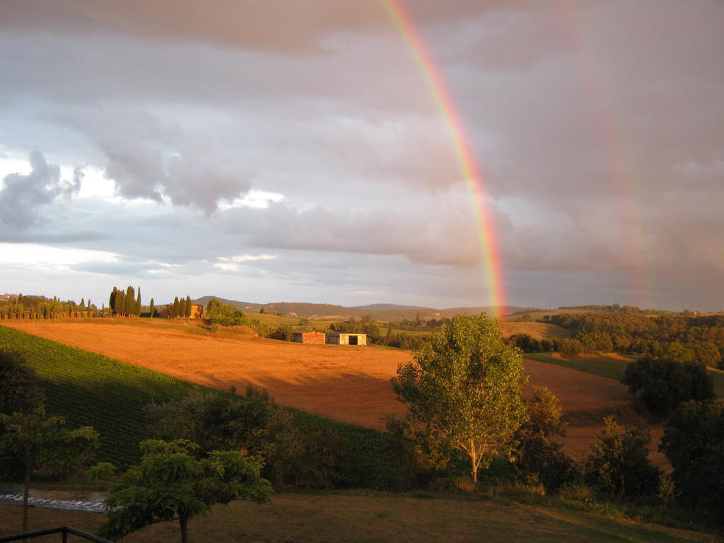 Agriturismo Santa Maria Torrita di Siena Dış mekan fotoğraf