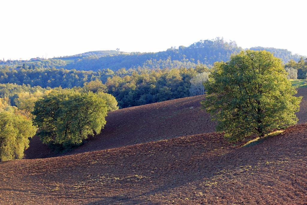 Agriturismo Santa Maria Torrita di Siena Dış mekan fotoğraf