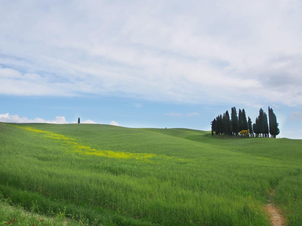 Agriturismo Santa Maria Torrita di Siena Dış mekan fotoğraf
