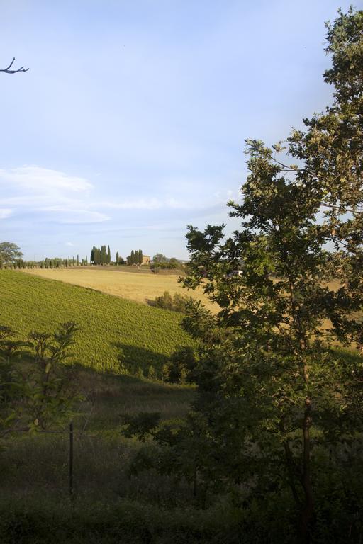 Agriturismo Santa Maria Torrita di Siena Dış mekan fotoğraf
