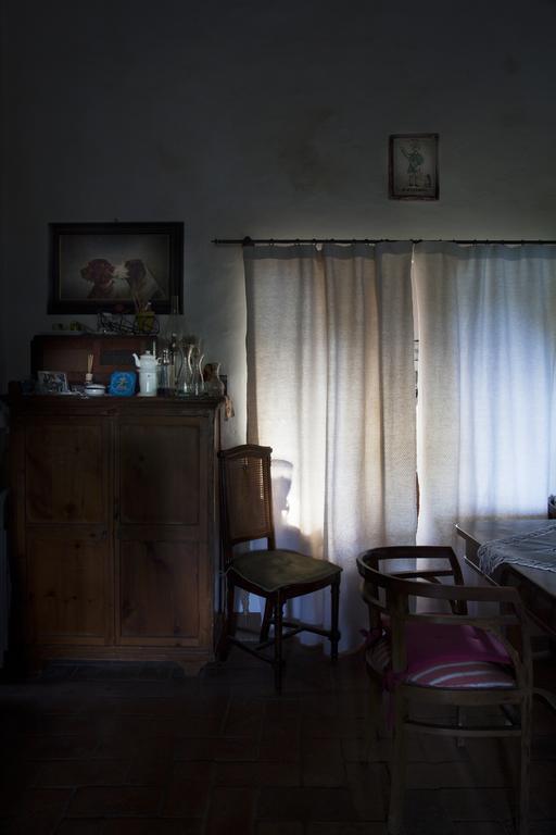 Agriturismo Santa Maria Torrita di Siena Dış mekan fotoğraf