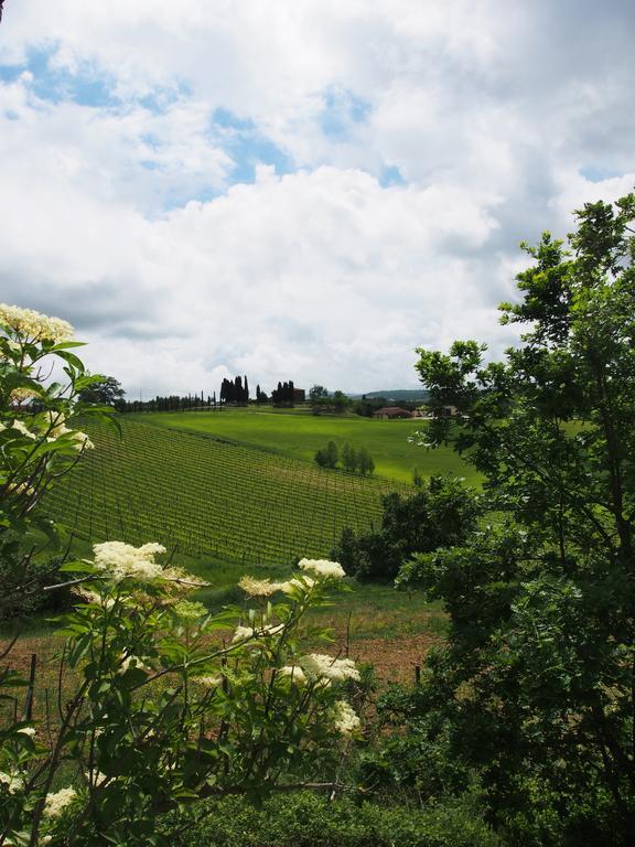 Agriturismo Santa Maria Torrita di Siena Dış mekan fotoğraf