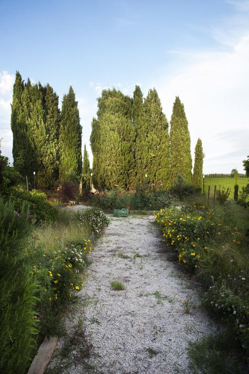 Agriturismo Santa Maria Torrita di Siena Dış mekan fotoğraf
